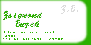 zsigmond buzek business card